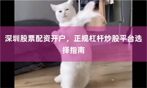 深圳股票配资开户，正规杠杆炒股平台选择指南